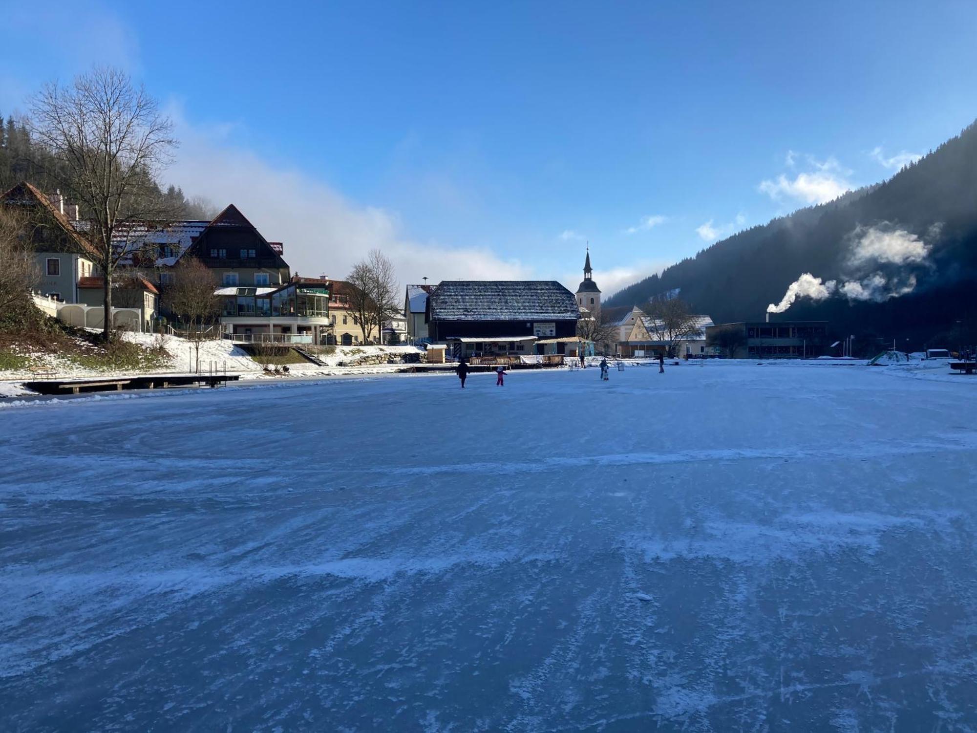 Seegasthof Breineder - Familien & Seminarhotel Monichwald Екстер'єр фото
